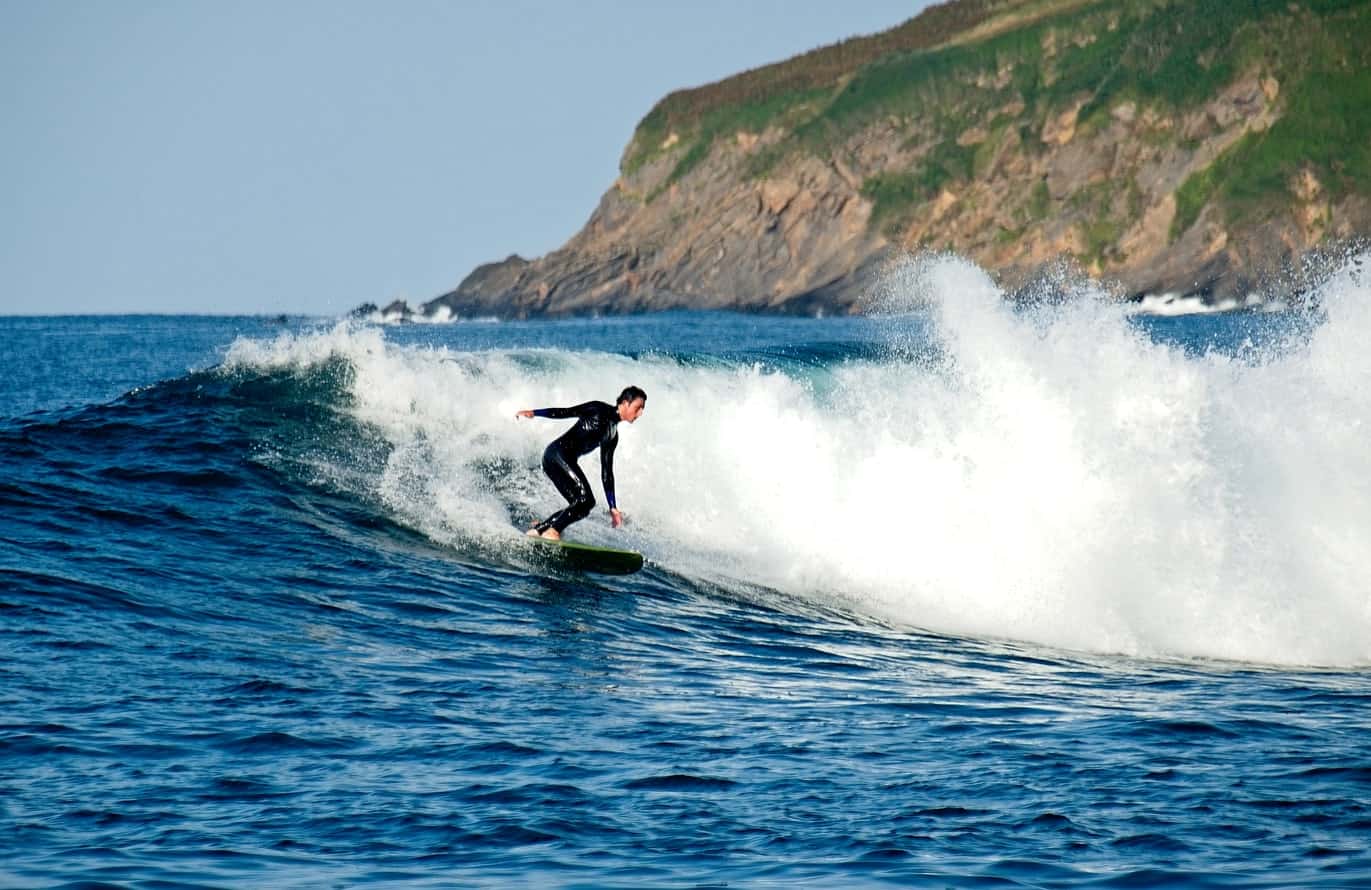 surfing without a leash